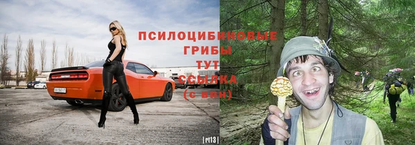 ПСИЛОЦИБИНОВЫЕ ГРИБЫ Беломорск