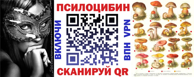 Галлюциногенные грибы Psilocybe  Кохма 